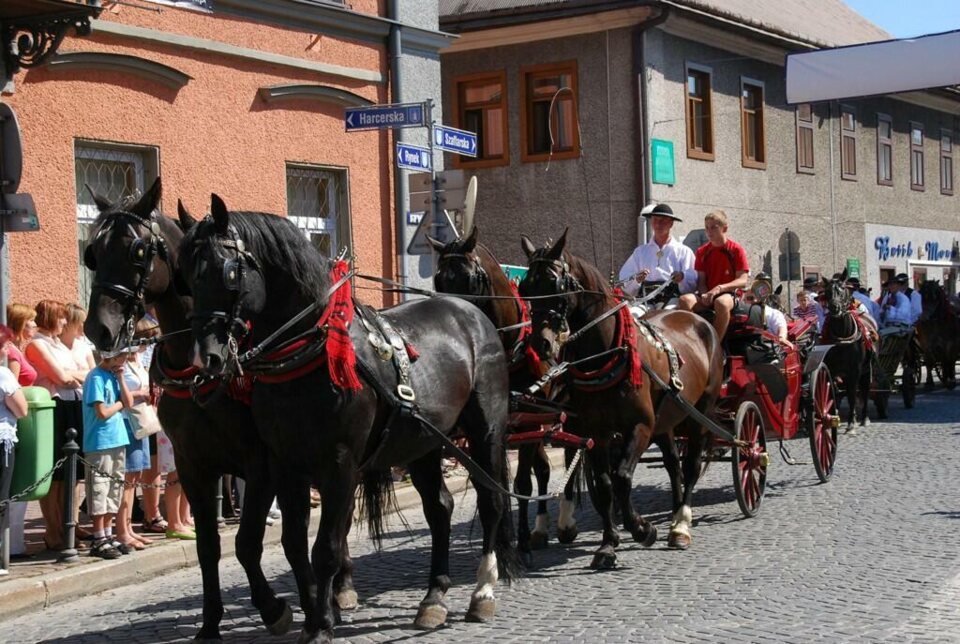 X Jarmark Podhalański - parada gazdowska_21